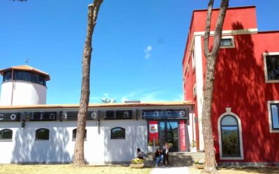 Il Museo in biblioteca