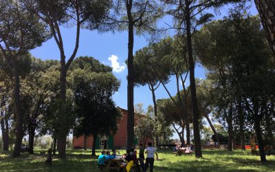Centro estivo al museo archeologico 2019